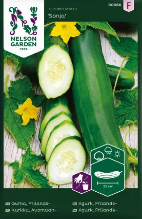 Frilandsgurka 'Sonja'