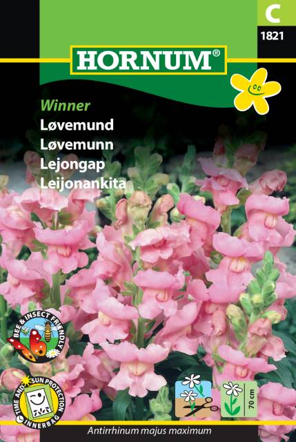 Lejongap 'Winner' frö
