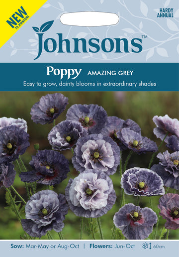 Kornvallmo 'Amazing Grey'
