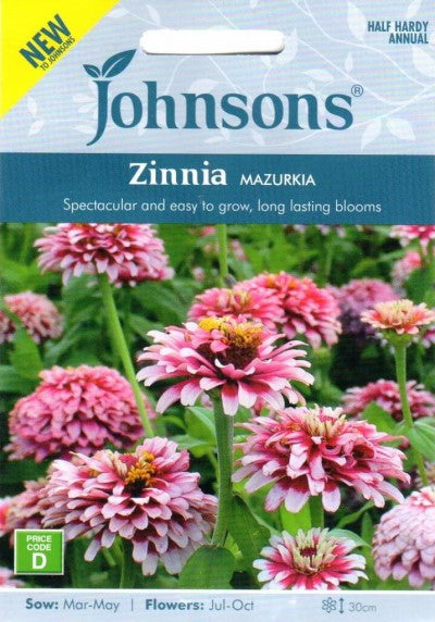Zinnia 'Mazurkia'