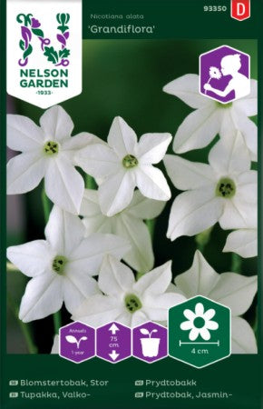 Blomstertobak 'Grandiflora' frö