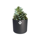b.for soft Ytterkruka Rund 14cm Antracite