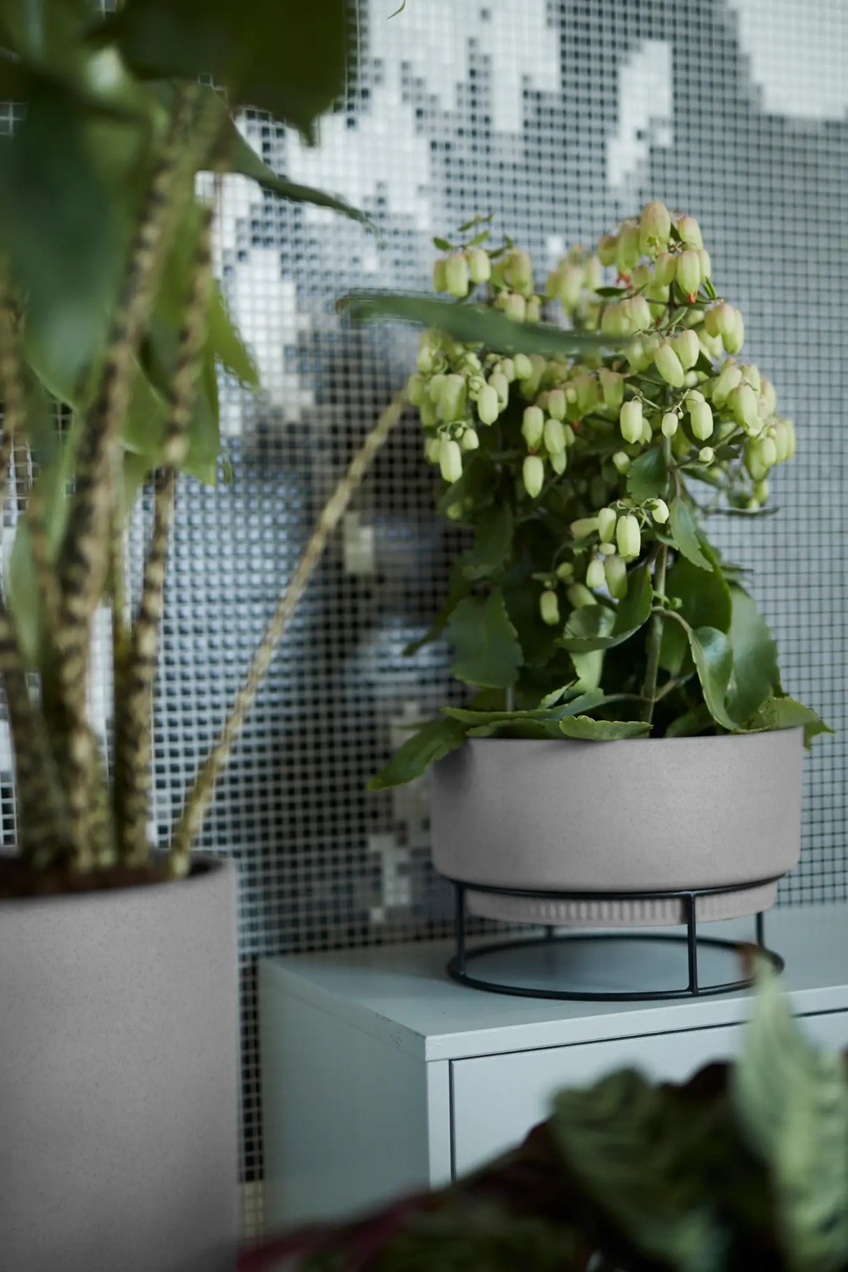 b.for studio Bowl' Ytterkruka 30cm - Living Concrete