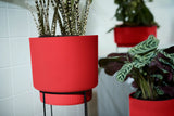 b.for Studio Round 30cm - Brilliant Red