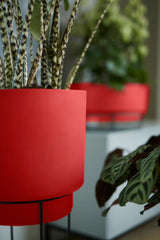 b.for Studio Round 30cm - Brilliant Red