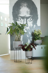 b.for Studio Round 30cm - Living Concrete