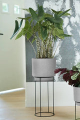 b.for Studio Round 30cm - Living Concrete