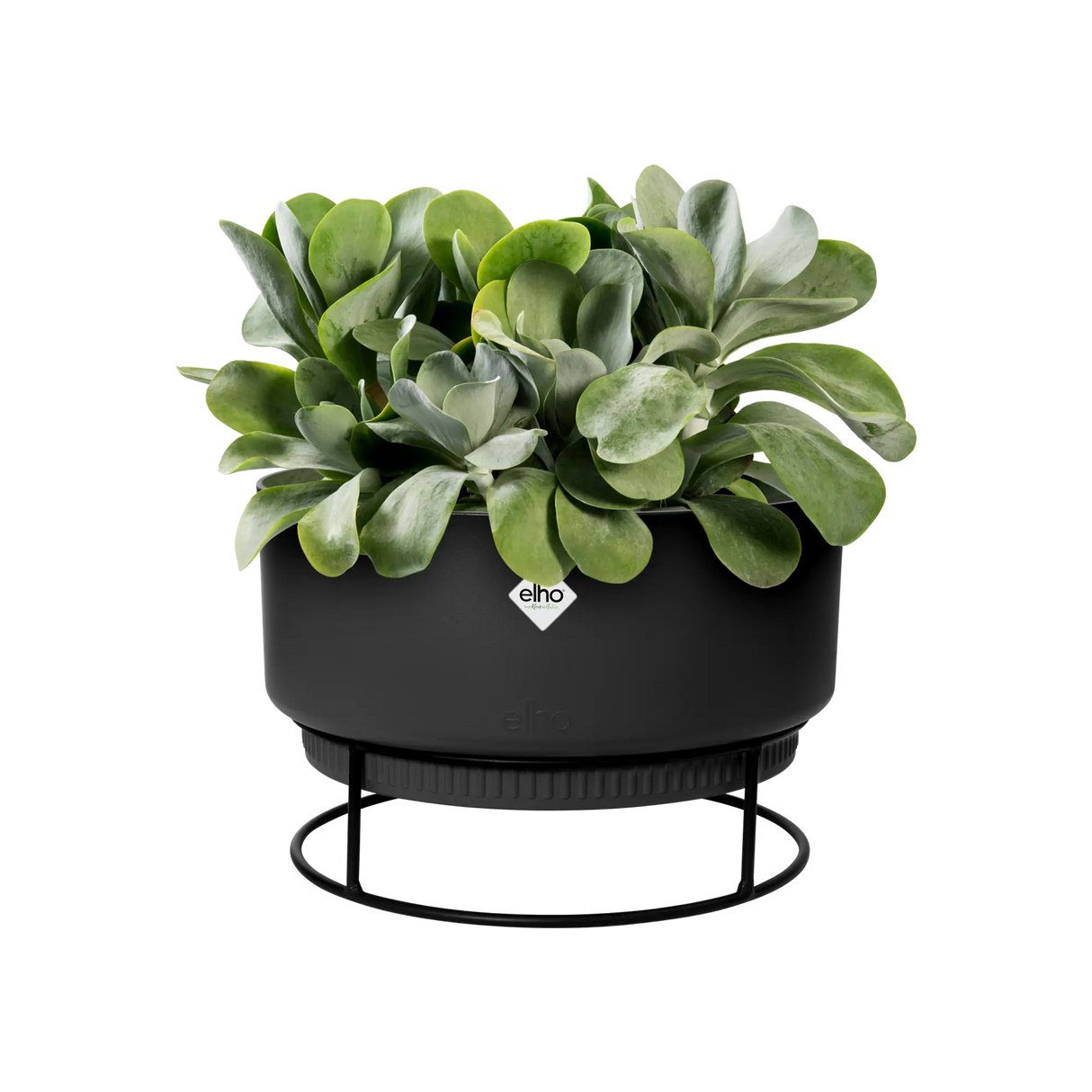 b.for studio Bowl' Ytterkruka 30cm - Living Black