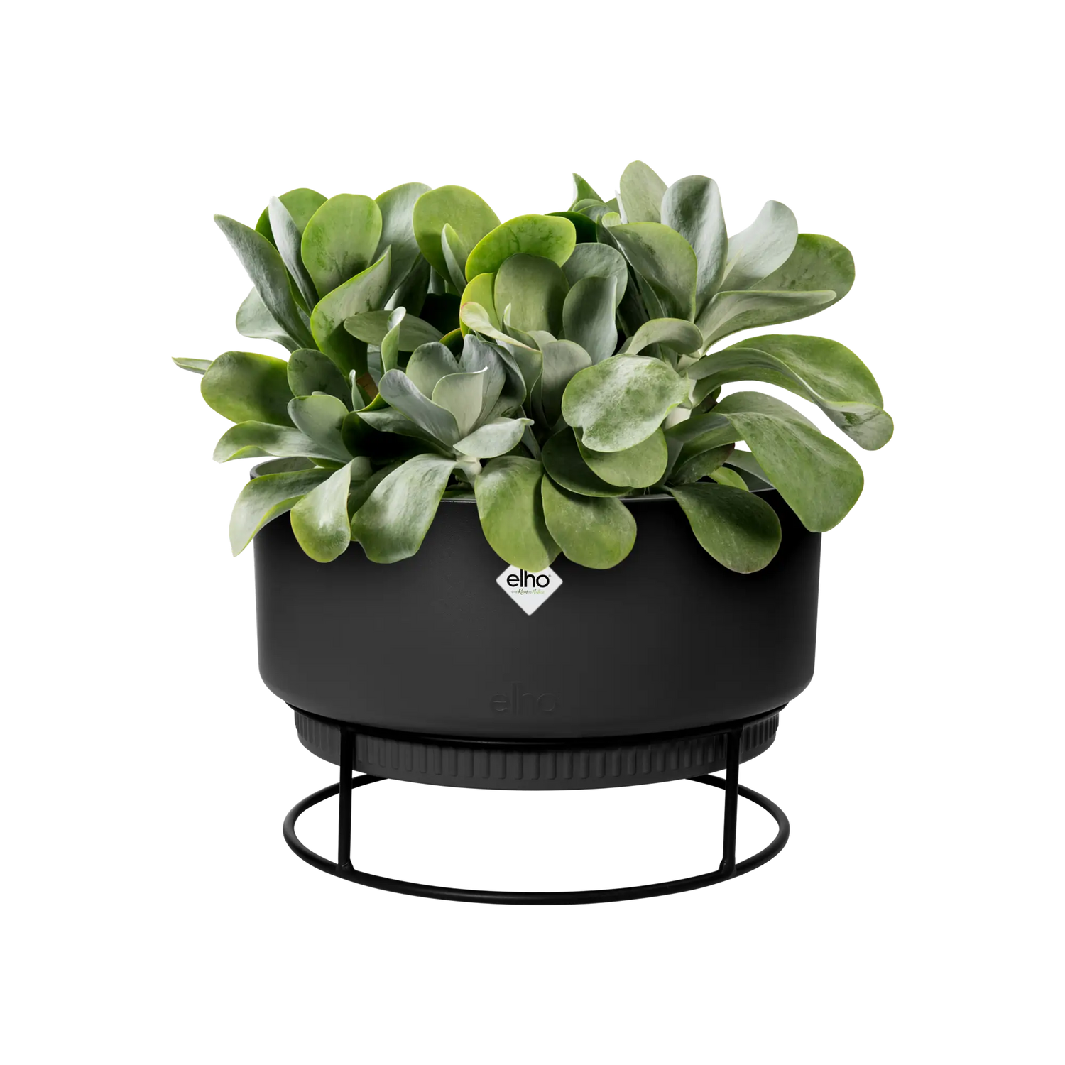 b.for studio Bowl' Ytterkruka 30cm - Living Black