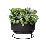 b.for studio Bowl' Ytterkruka 30cm - Living Black
