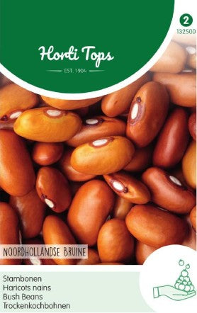 Buskböna 'Brown Dutch'