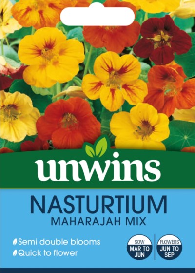 Blomsterkrasse 'Maharajah' Mix