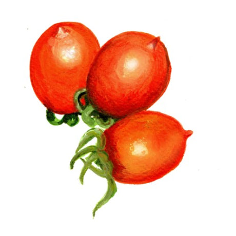 Tomat 'Ruthje' Svenskodlat frö