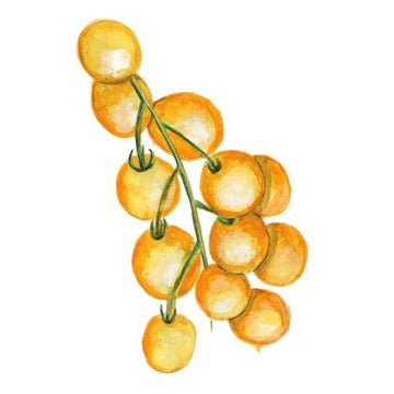 Busktomat 'Tumbling Tom Yellow'