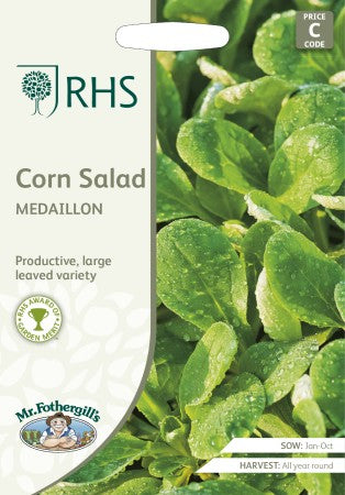 Vintersallat 'Medallion'