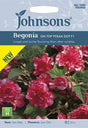 Begonia 'On Top Polka Dot' F1