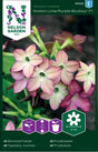 Blomstertobak 'Avalon Lime/Purple' F1 frö