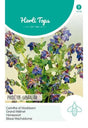 Stor Vaxblomma 'Pride of Gibraltar'