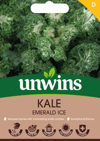 Grönkål 'Emerald Ice'