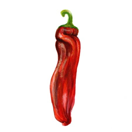 Paprika 'Dulce Italiano'