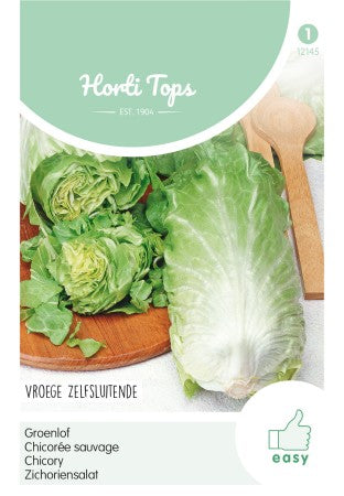 Sallatscikoria 'Zuckerhut'