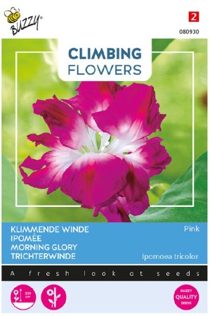 Blomman för Dagen 'Double Rose'