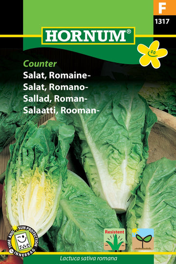 Romansallat 'Xandu' frö