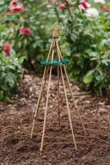 Växtstöd Bambupinne 60cm - 20st