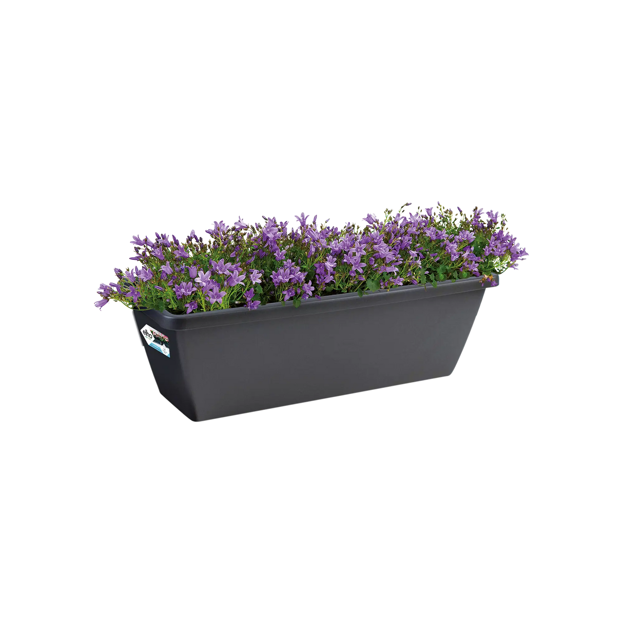 Barcelona Trough Balkonglåda 50cm Anthracite