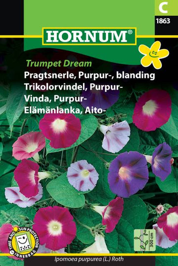 Purpurvinda Mix 'Trumpet Dream' frö