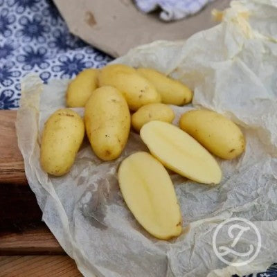 Sättpotatis - Alexandra 1kg