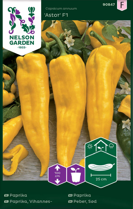 Paprika 'Astor' F1