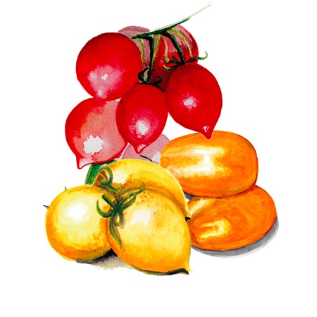 Vintertomat MIX