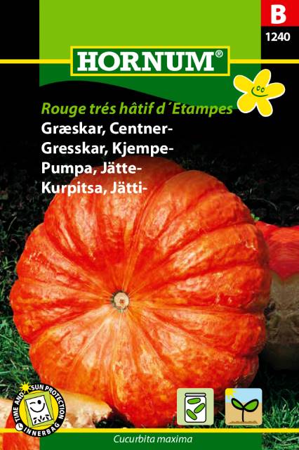 Jättepumpa 'Rouge trés hâtif d´Etampes' frö