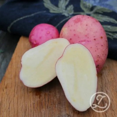 Sättpotatis - Sarpo Mira 1kg