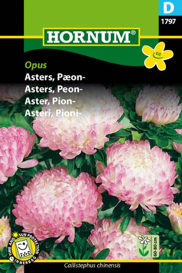 Pionaster 'Opus' frö