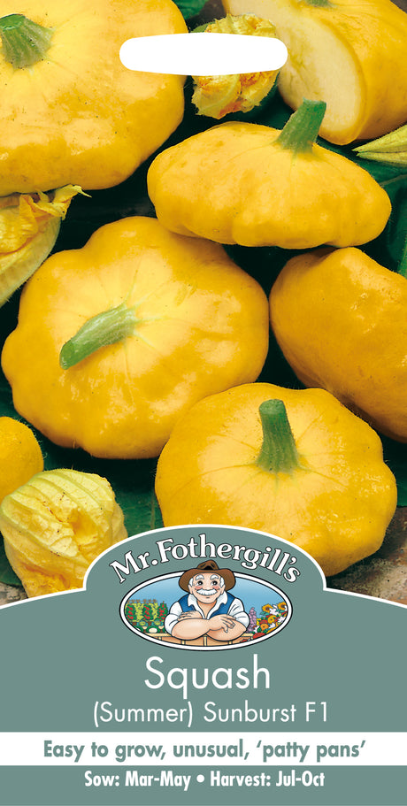 Sommarsquash 'Sunburst' F1