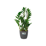 Brussels Ytterkruka med hjul D47cm - Anthracite