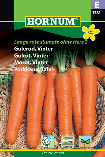 Vintermorot 'Herz 2' - Såband