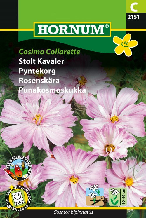 Rosenskära 'Cosimo Collarette'