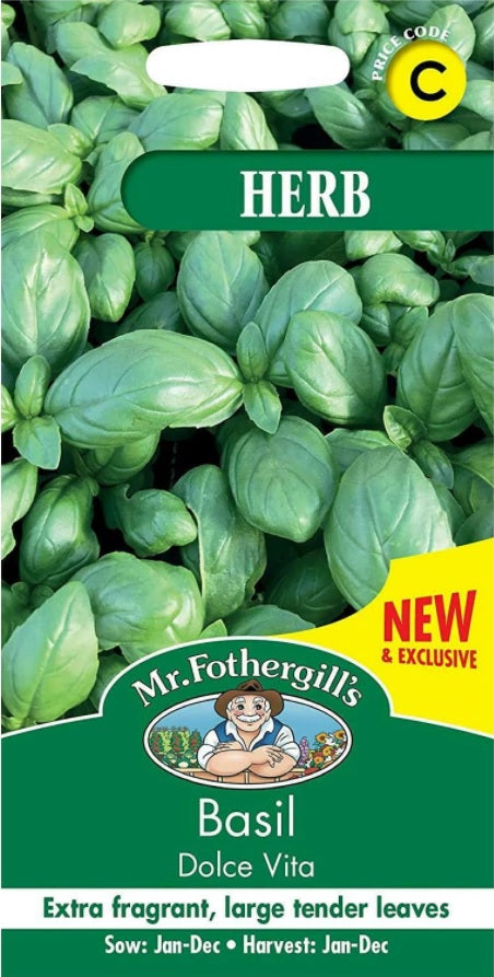 Basilika 'Dolce Vita'