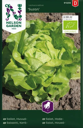 Huvudsallat 'Suzan' EKO