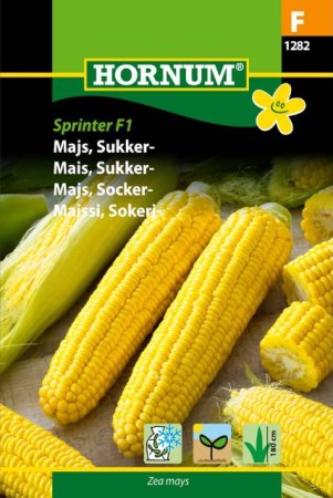 Sockermajs 'Sprinter' F1 frö