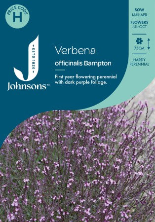 Järnört 'Bampton'