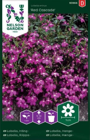 Hänglobelia 'Red Cascade'