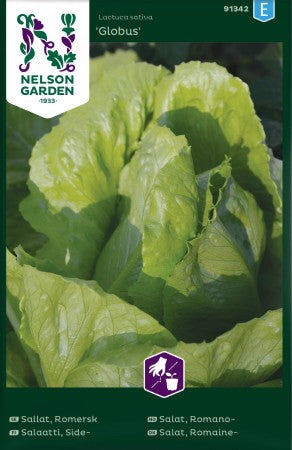 Romansallat 'Globus'