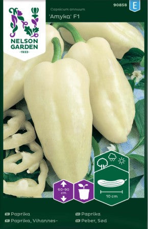 Paprika 'Amyka' F1