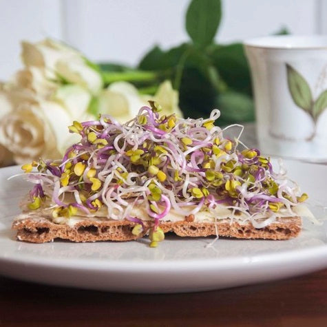 Sproutly: EKO Rädisfrön 'Chinarose' 160g