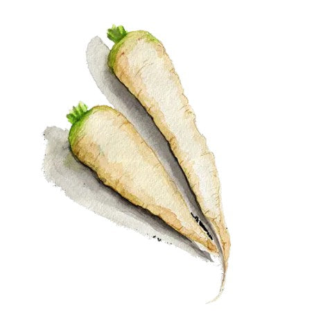 Morot 'Maruschka'