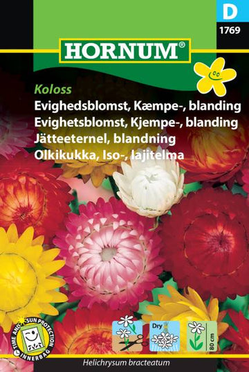 Jätteeternell Mix 'Koloss'
